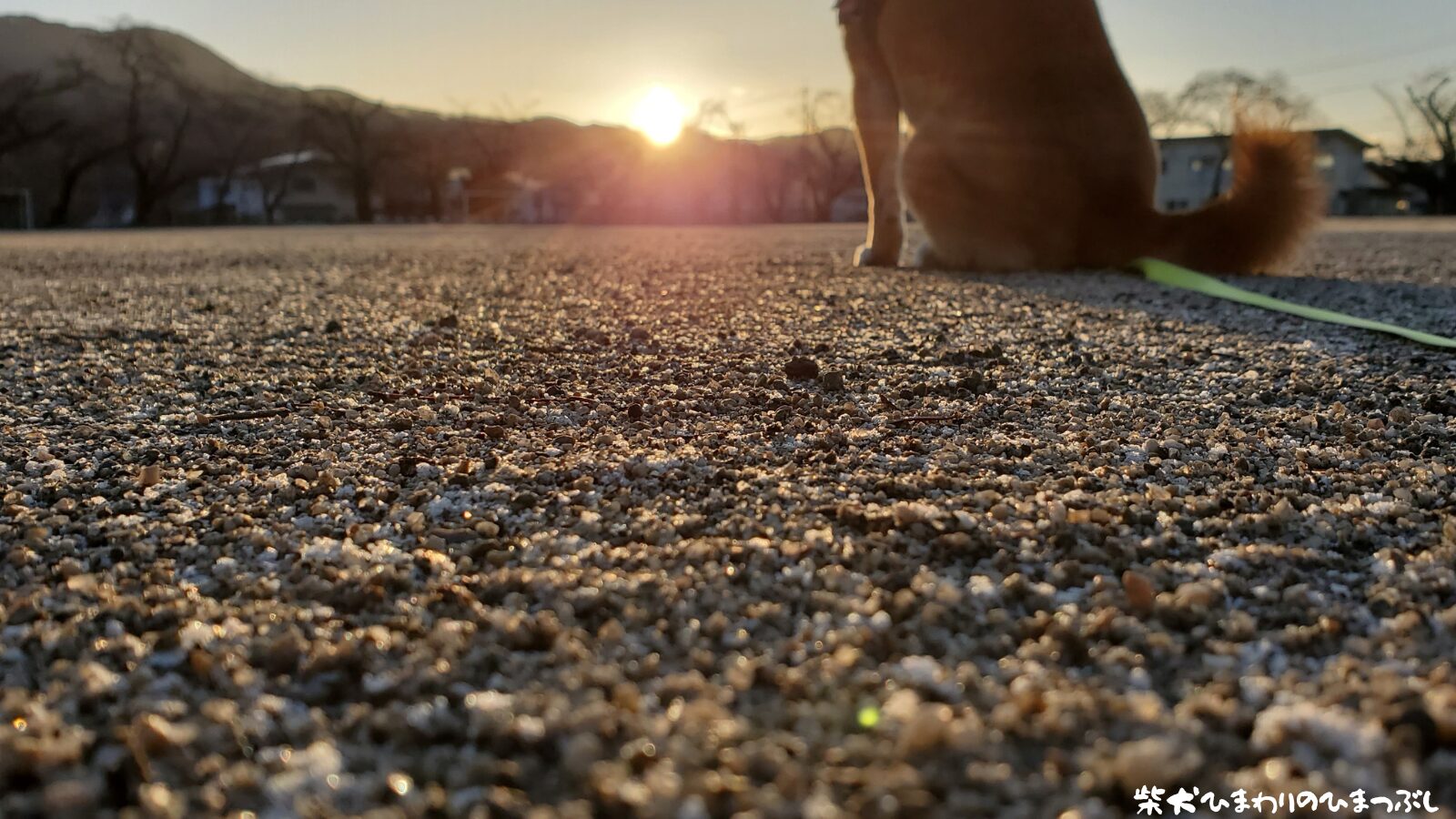 今年もよろしくお願いいたします